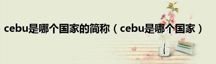 cebu是哪个国家的简称（cebu是哪个国家）