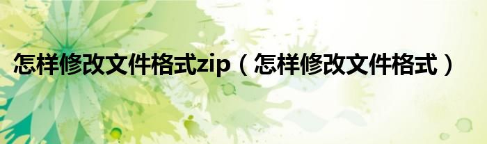 怎样修改文件格式zip（怎样修改文件格式）