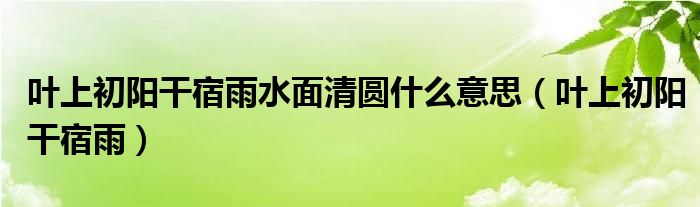 叶上初阳干宿雨水面清圆什么意思（叶上初阳干宿雨）