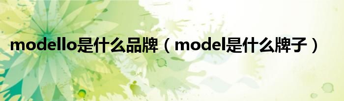 modello是什么品牌（model是什么牌子）