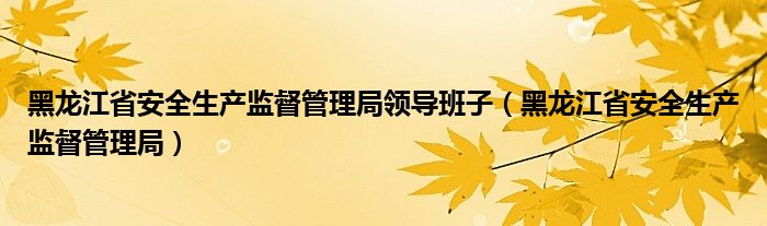 黑龙江省安全生产监督管理局领导班子（黑龙江省安全生产监督管理局）