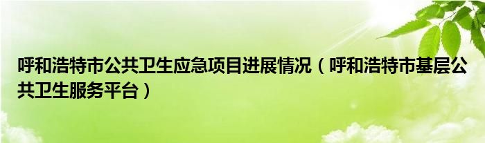 呼和浩特市公共卫生应急项目进展情况（呼和浩特市基层公共卫生服务平台）