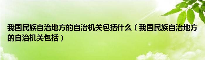 我国民族自治地方的自治机关包括什么（我国民族自治地方的自治机关包括）