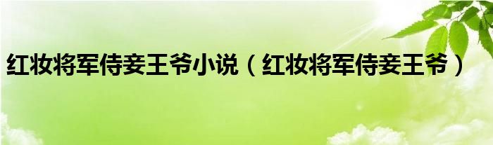 红妆将军侍妾王爷小说（红妆将军侍妾王爷）