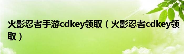 火影忍者手游cdkey领取（火影忍者cdkey领取）