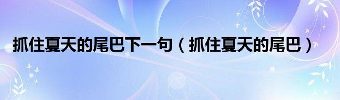 抓住夏天的尾巴下一句（抓住夏天的尾巴）