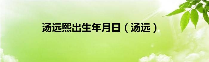 汤远熙出生年月日（汤远）