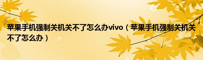 苹果手机强制关机关不了怎么办vivo（苹果手机强制关机关不了怎么办）