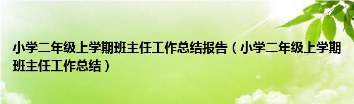 小学二年级上学期班主任工作总结报告（小学二年级上学期班主任工作总结）