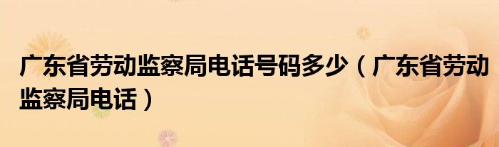 广东省劳动监察局电话号码多少（广东省劳动监察局电话）