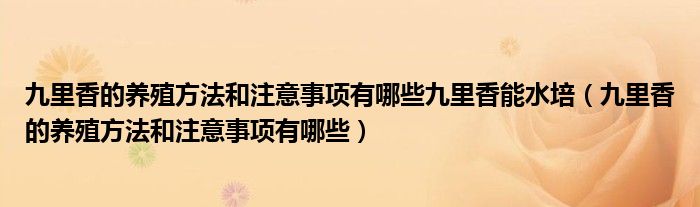 九里香的养殖方法和注意事项有哪些九里香能水培（九里香的养殖方法和注意事项有哪些）