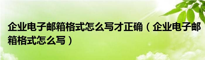 企业电子邮箱格式怎么写才正确（企业电子邮箱格式怎么写）