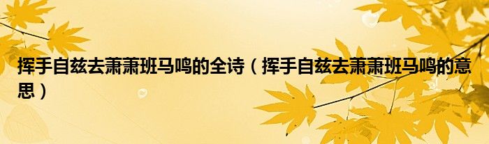 挥手自兹去萧萧班马鸣的全诗（挥手自兹去萧萧班马鸣的意思）