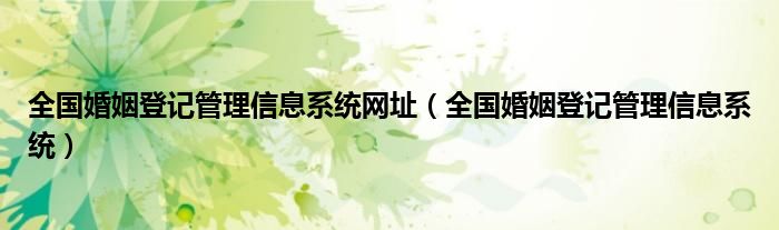 全国婚姻登记管理信息系统网址（全国婚姻登记管理信息系统）