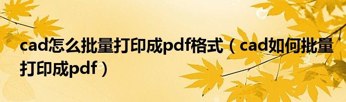 cad怎么批量打印成pdf格式（cad如何批量打印成pdf）