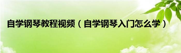 自学钢琴教程视频（自学钢琴入门怎么学）