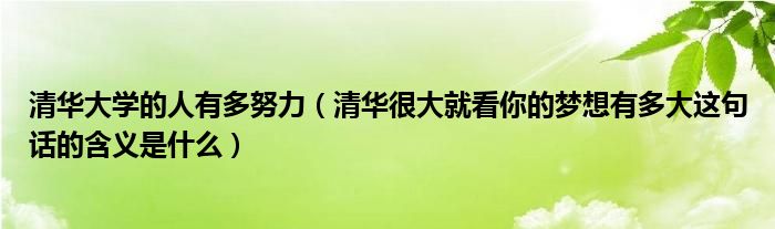 清华大学的人有多努力（清华很大就看你的梦想有多大这句话的含义是什么）