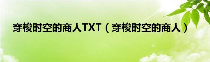 穿梭时空的商人TXT（穿梭时空的商人）