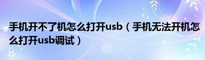 手机开不了机怎么打开usb（手机无法开机怎么打开usb调试）