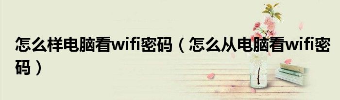 怎么样电脑看wifi密码（怎么从电脑看wifi密码）