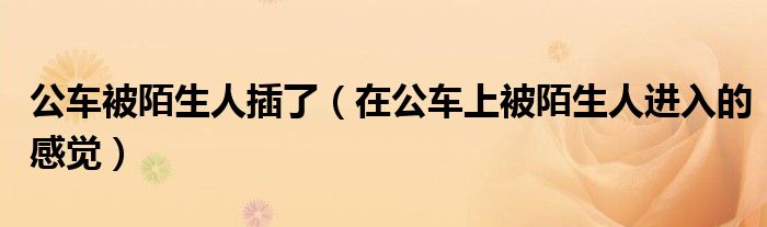 公车被陌生人插了（在公车上被陌生人进入的感觉）