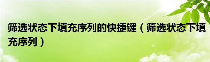 筛选状态下填充序列的快捷键（筛选状态下填充序列）