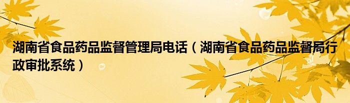 湖南省食品药品监督管理局电话（湖南省食品药品监督局行政审批系统）