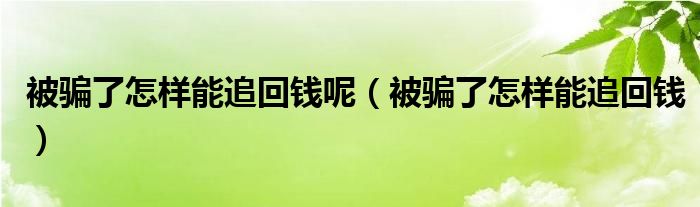 被骗了怎样能追回钱呢（被骗了怎样能追回钱）