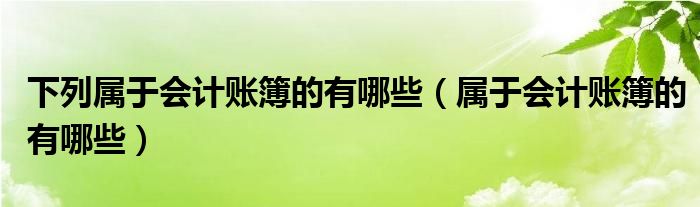 下列属于会计账簿的有哪些（属于会计账簿的有哪些）