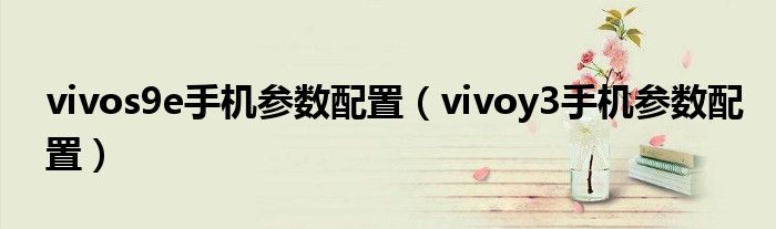 vivos9e手机参数配置（vivoy3手机参数配置）