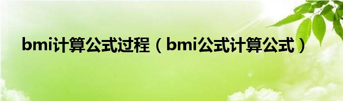 bmi计算公式过程（bmi公式计算公式）