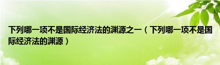 下列哪一项不是国际经济法的渊源之一（下列哪一项不是国际经济法的渊源）