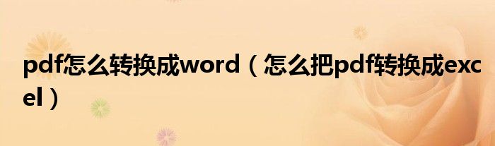 pdf怎么转换成word（怎么把pdf转换成excel）