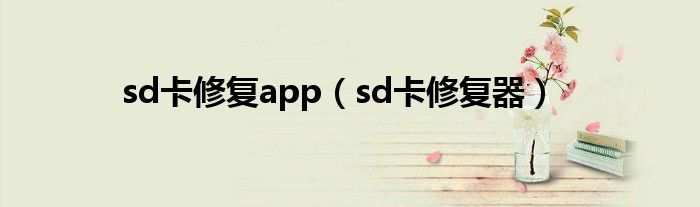 sd卡修复app（sd卡修复器）