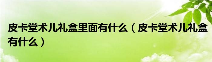 皮卡堂术儿礼盒里面有什么（皮卡堂术儿礼盒有什么）