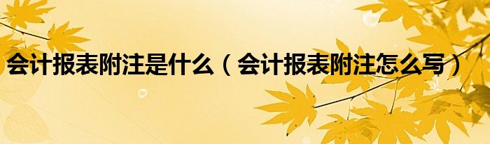 会计报表附注是什么（会计报表附注怎么写）