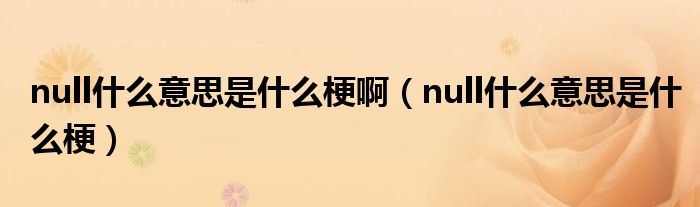 null什么意思是什么梗啊（null什么意思是什么梗）