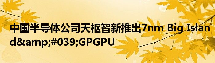 中国半导体公司天枢智新推出7nm Big Island&#039;GPGPU