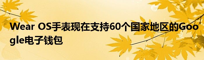 Wear OS手表现在支持60个国家地区的Google电子钱包