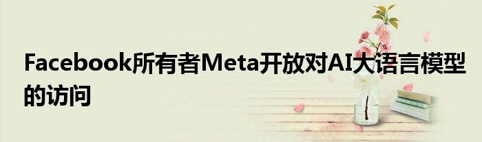 Facebook所有者Meta开放对AI大语言模型的访问