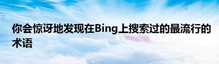 你会惊讶地发现在Bing上搜索过的最流行的术语