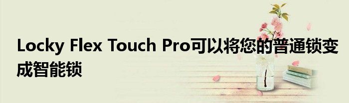 Locky Flex Touch Pro可以将您的普通锁变成智能锁